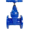 Van cổng DN100
