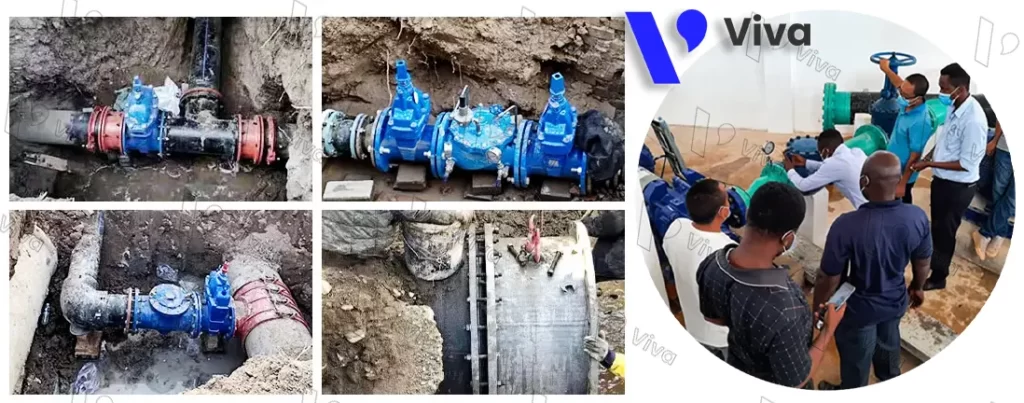 Viva – Van công nghiệp giá rẻ