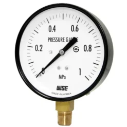 Đồng hồ đo áp suất Wise P110