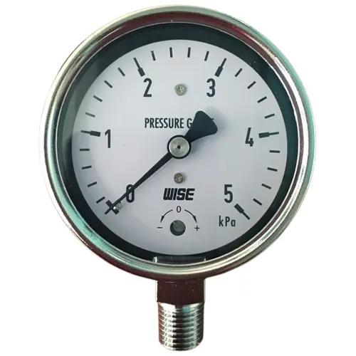 Đồng hồ đo áp suất Wise P440