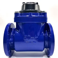 Đồng hồ nước DN50