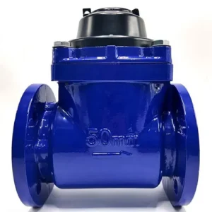 Đồng hồ nước DN50