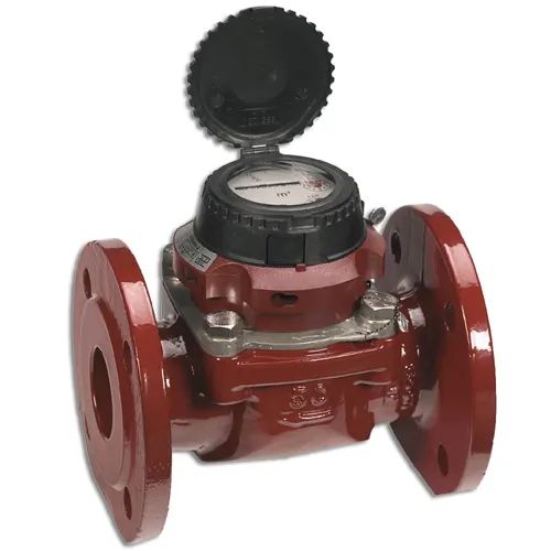 Đồng hồ nước Sensus