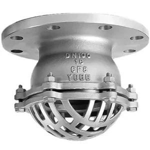 Rọ bơm DN100 inox