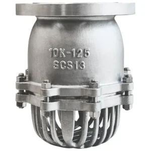 Rọ bơm JIS 10K inox 304