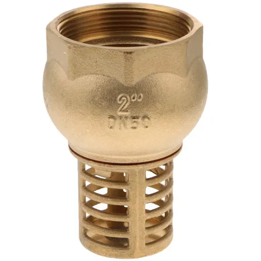 Rọ bơm đồng DN50