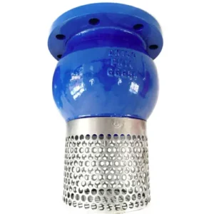Rọ bơm gang DN150