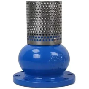 Rọ bơm gang lưới inox
