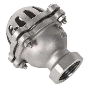 Rọ bơm nối ren inox
