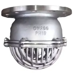 Rọ hút nước DN200