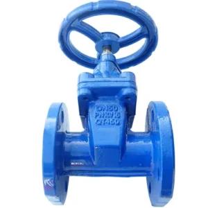 Van cổng DN50