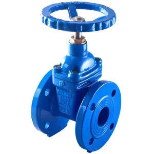 Van cổng ty chìm DN80