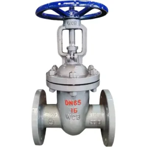 Van cổng ty nổi Trung Quốc