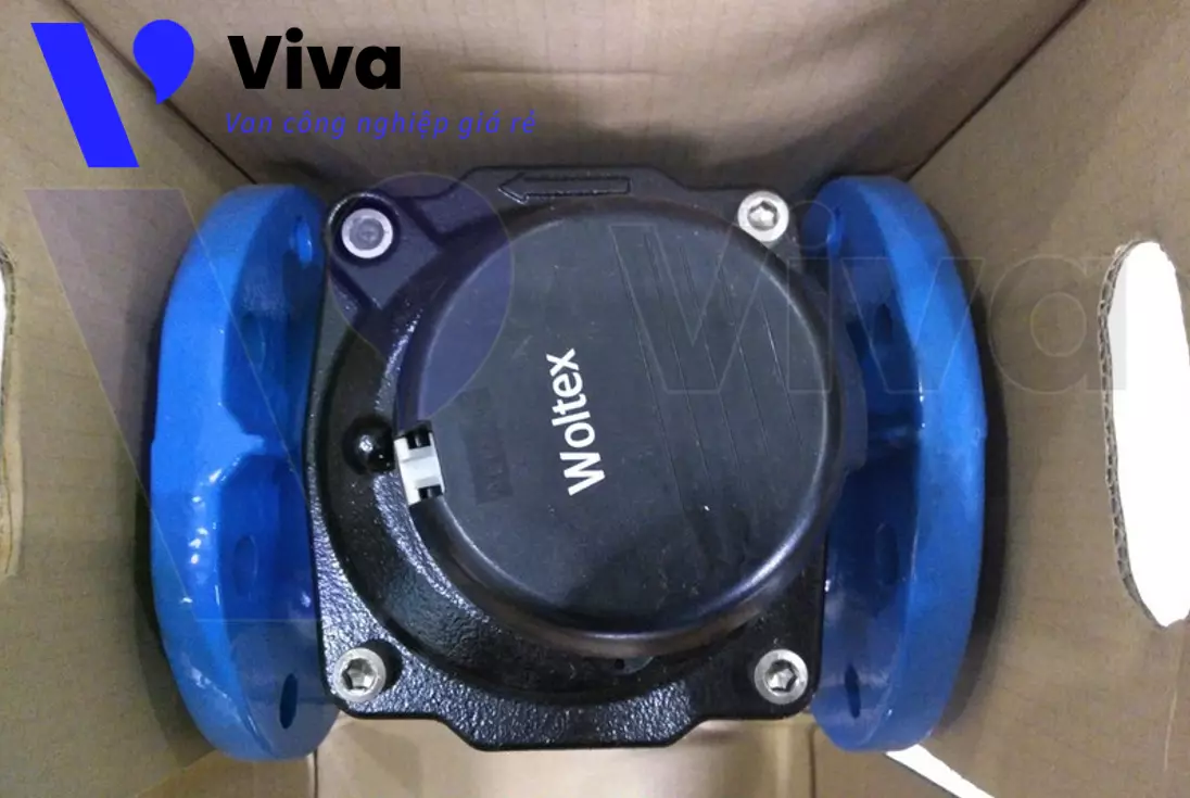 Đồng hồ nước Itron DN50 dạng Woltex