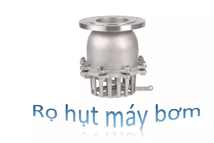 Hình ảnh thực tế về rọ hút máy bơm loại inox