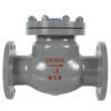 Van 1 chiều DN100