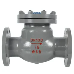 Van 1 chiều DN100
