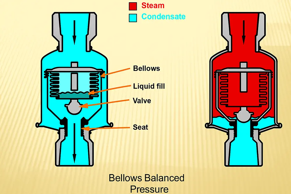 cấu tạo và nguyên lý hoạt động của bẫy hơi ống xếp