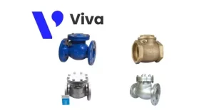 Check valve