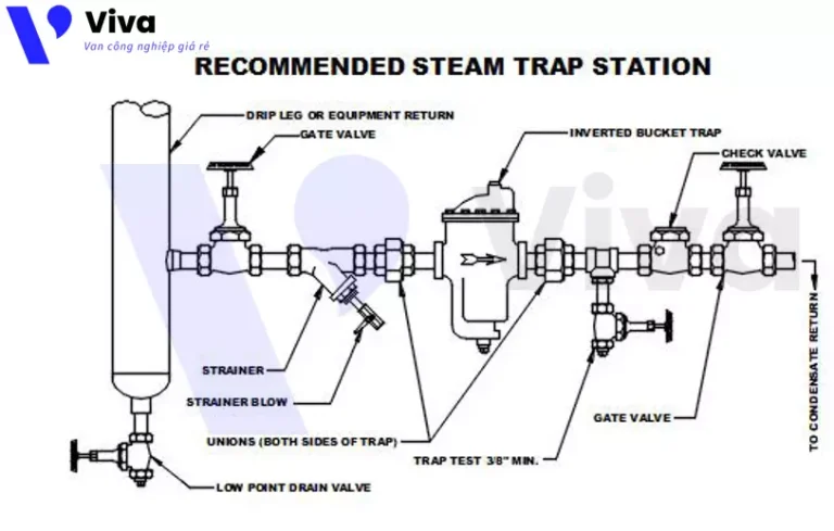 Vị trí lắp đặt và kích thước của bẫy hơi
