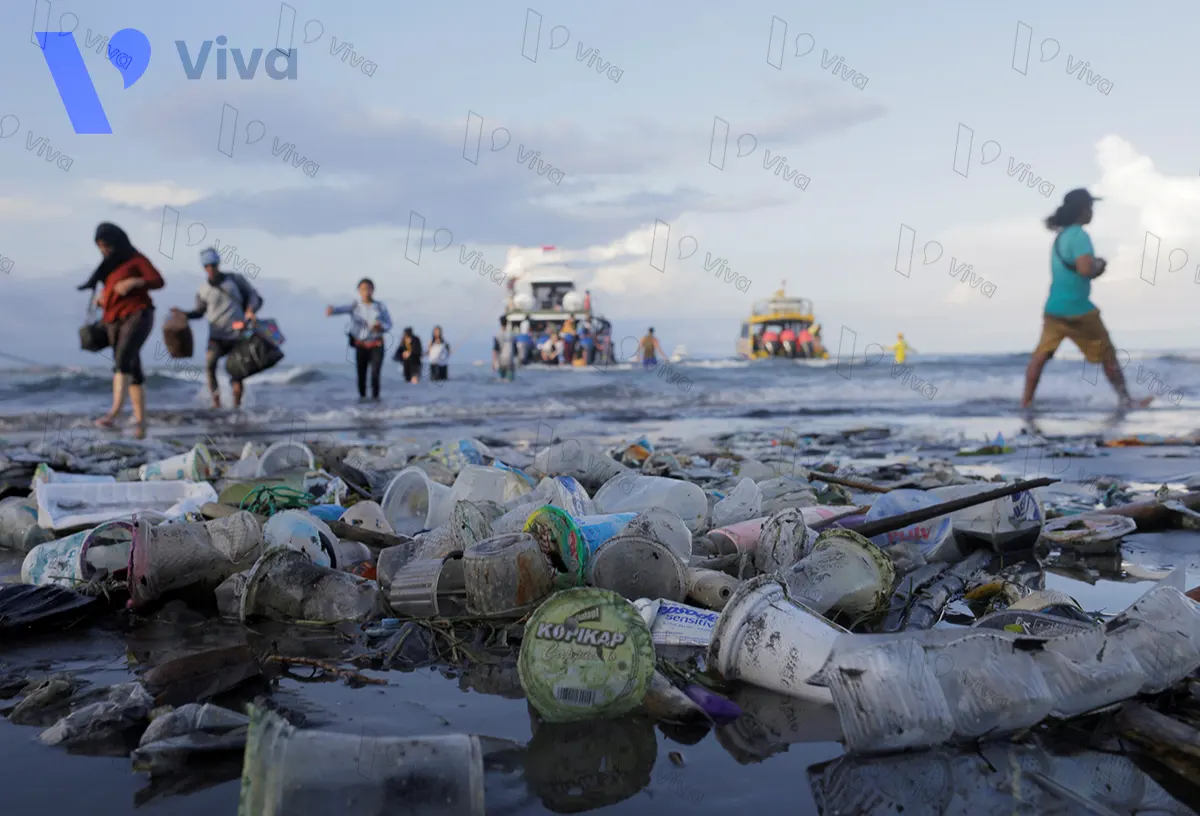 Rác thải nhựa ảnh hưởng nghiêm trọng đến môi trường bờ biển