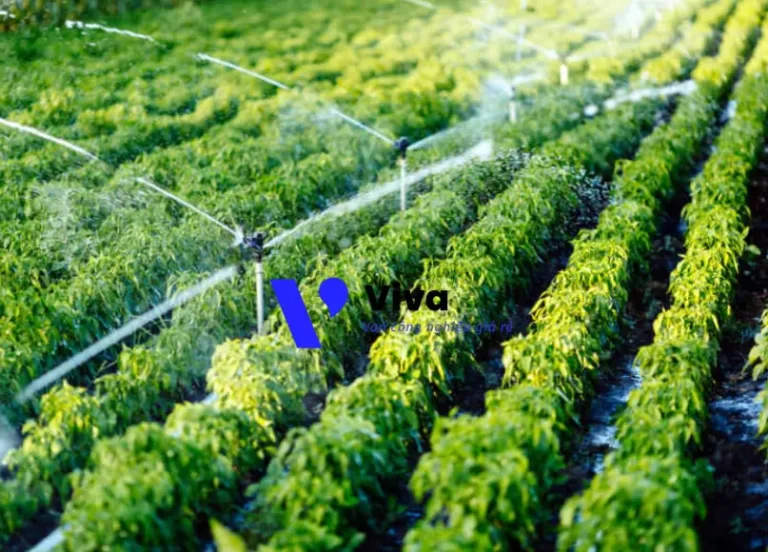 hệ thống tưới nước