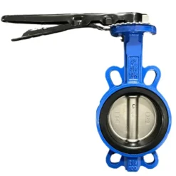 Van bướm DN100
