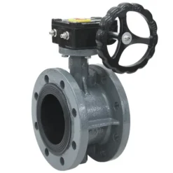 Van bướm DN200