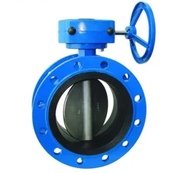 Van bướm DN250