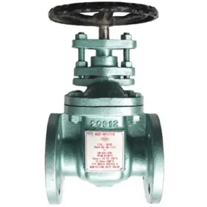 Van cổng gang Toyo 501B