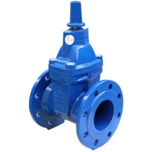 Van cổng nắp chụp Shinyi RVCX