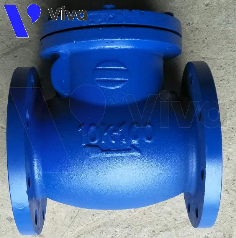 Van 1 chiều lá lật Wonil DN100