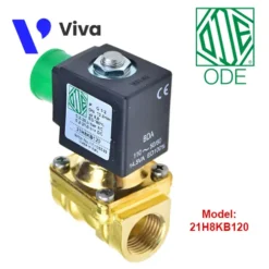 Van điện từ ODE 21H8KB120