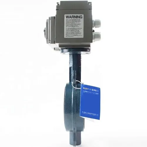 Van bướm điện EMEB-OCW - Ảnh 3