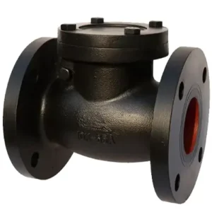 Van 1 chiều lá lật gang Wooken KCCS-10