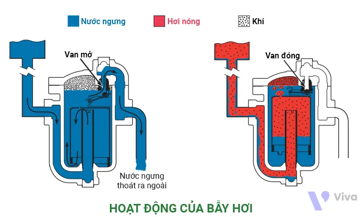 Nguyên lý hoạt động của vẫu hơi cốc phao