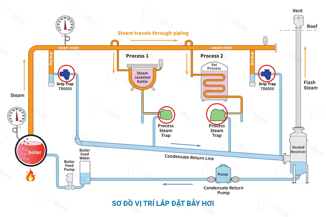 Sơ đồ vị trí lắp đặt bẫy hơi trong hệ thống sử dụng hơi nóng