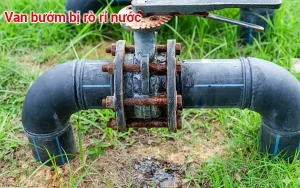 Van bướm bị rò rỉ nước