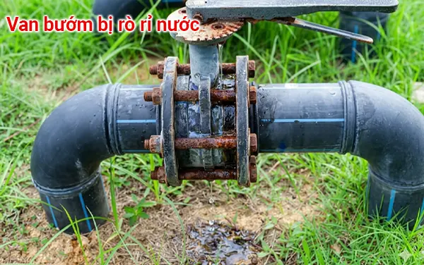 Van bướm bị rò rỉ nước