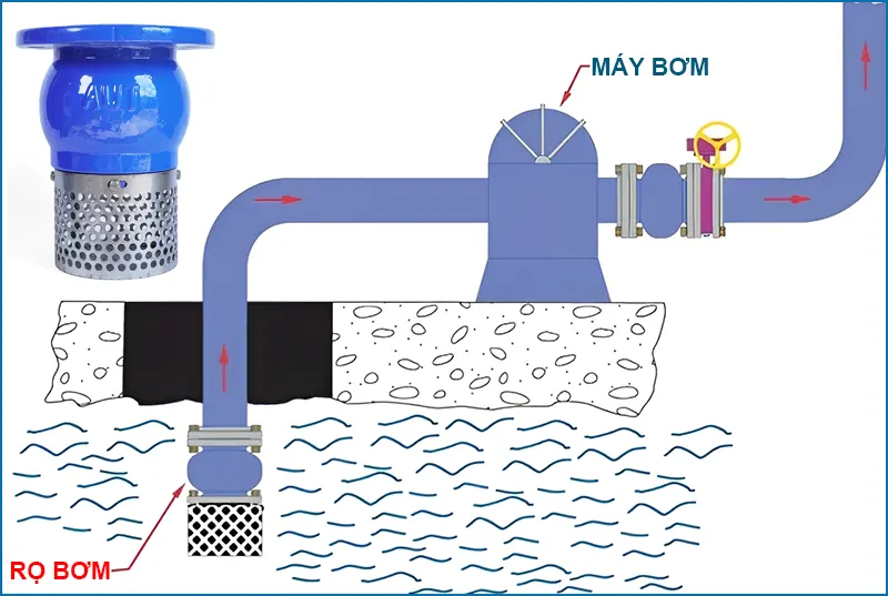 Rọ bơm là một loại van một chiều được lắp đặt ở đầu ống hút của máy bơm