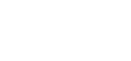 logo trang viva