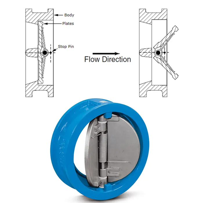 Van một chiều cánh bướm