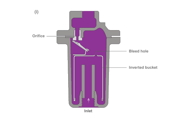 Hoạt động của Bẫy hơi gầu đảo (Inverted Bucket Trap)
