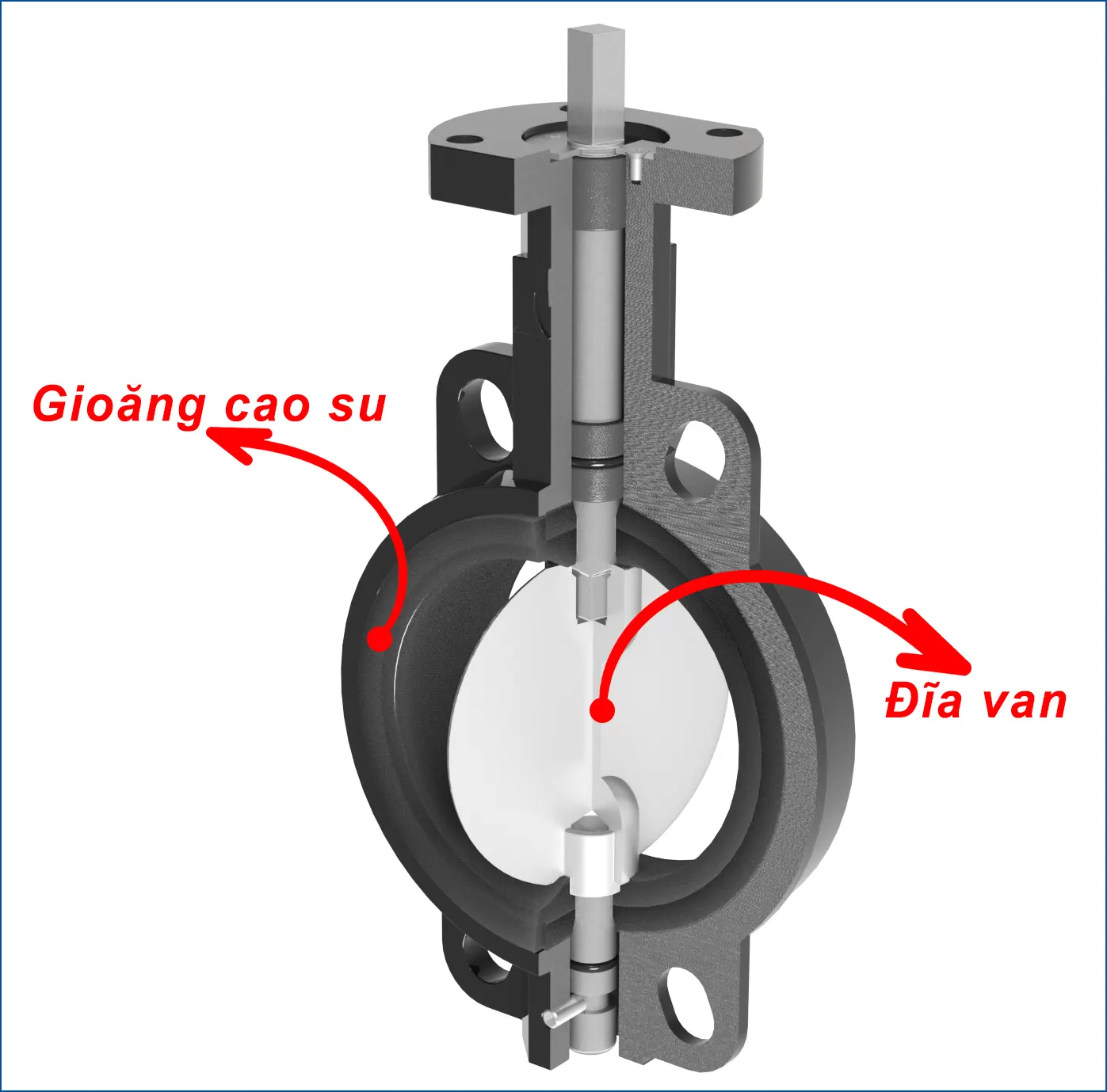 Cấu tạo các bộ phận tiếp xúc lưu chất của van bướm