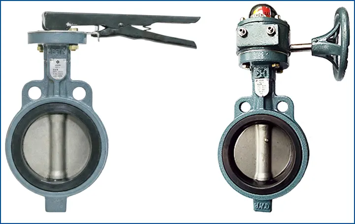 van bướm Joeun Hàn Quốc